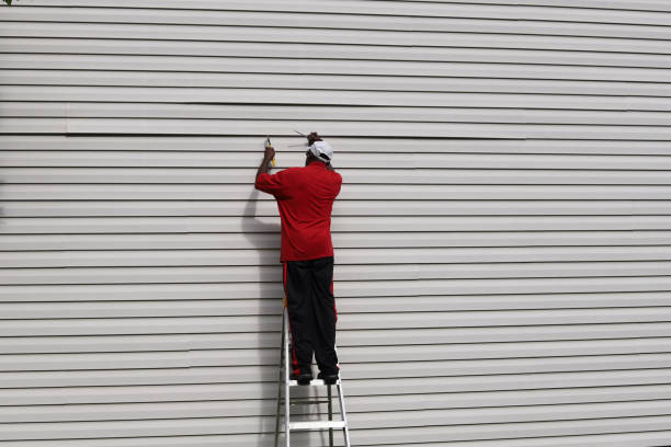 Best Fiber Cement Siding Installation  in Cadott, WI