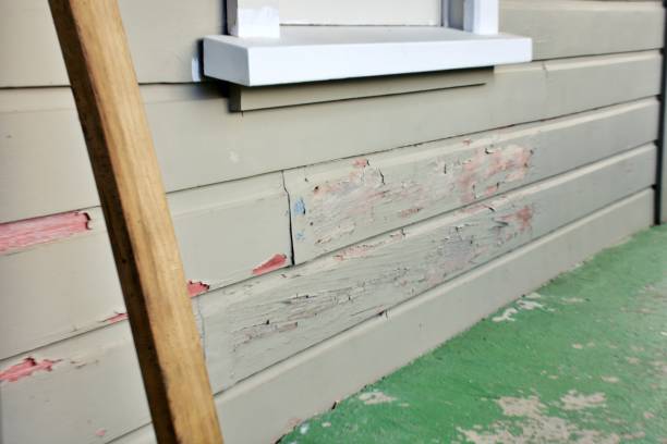 Best Siding Painting and Refinishing  in Cadott, WI